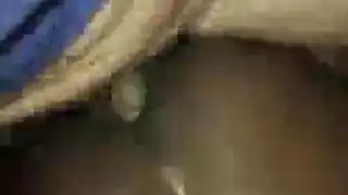 خشب الأبنوس الجنس الشرجي سكانك زوجان