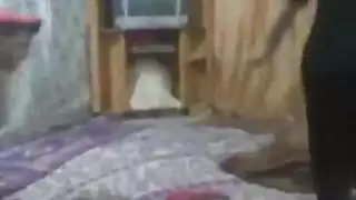 عرض عراقي للاستمناء والجنس: ملكة الويب كام تفعل كل شيء