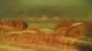 فيلم عربي إكس إكس إكس كامل الطول: مشاهد هاردكور عالية الوضوح