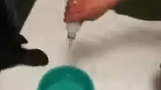 سحاق في اكس